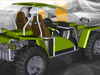 Buggy Craze