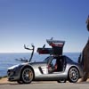 Wings Benz